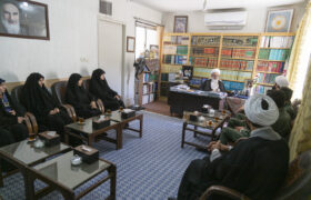 دیدار خبرنگاران خبرگزاری حوزه با آیت الله ناصری