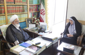 دیدار مشاور اقتصادی رئیس جمهور با نماینده ولی فقیه در استان