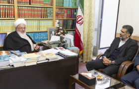 دیدار معاون وزیر بهداشت با آیت الله ناصری