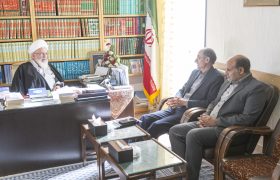 دیدار مدیرکل حفاظت محیط زیست استان یزد با آیت الله ناصری